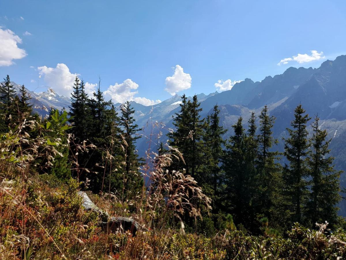 Apart Lisa Mayrhofen Bagian luar foto